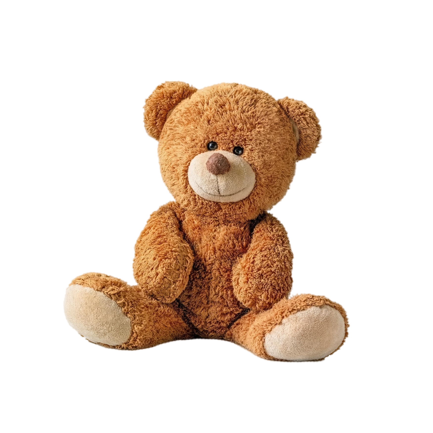 teddy bear symbolizing childhood and the welcome of daycare agencies ô koala